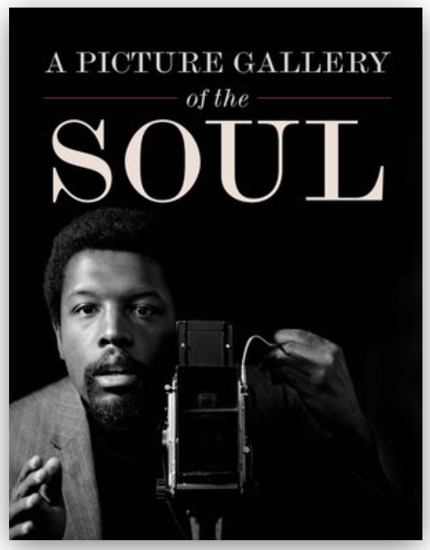 Picture of A Picture Gallery of the Soul