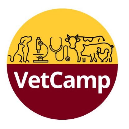 Picture of VetCamp