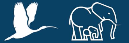 Picture of IBIS Meeting Fee, May 29-30 2025