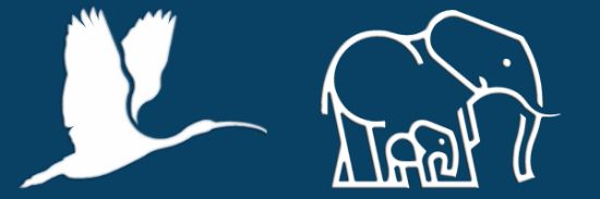 Picture of IBIS Meeting Fee, May 29-30 2025