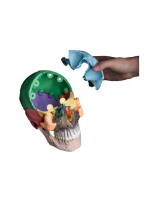 Picture of Puzzle Skull