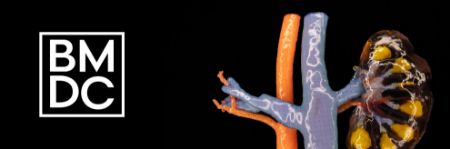 Picture for category Anatomy