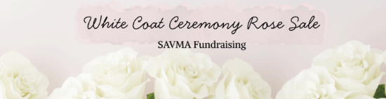 Picture of SAVMA Rose Sale - 8 Rose Bouquet